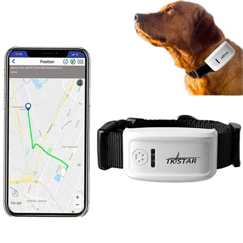 dog tracking device.